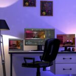 L’entrepreneuriat à distance