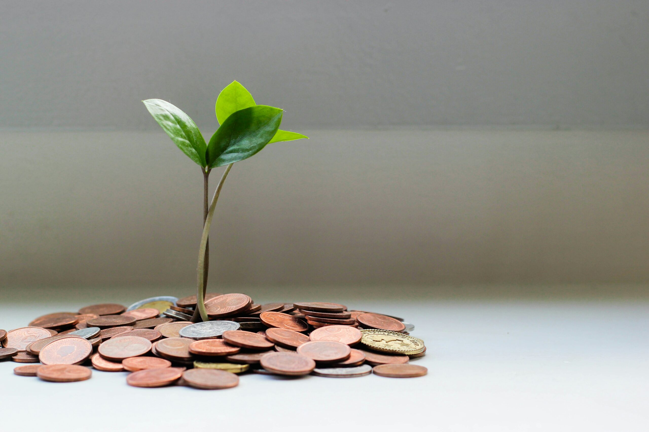 Financement
